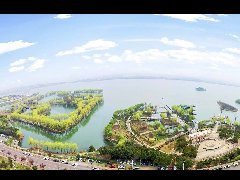 產業規劃如何做才最合理？