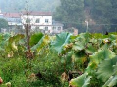 西安交通大學召開“十四五”信息化發(fā)展規(guī)劃專題工作會議