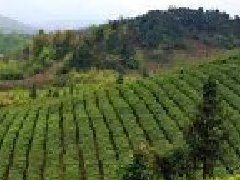 社科院報(bào)告：“十四五”規(guī)劃期間中國將跨過高收入國家門檻