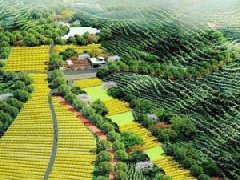 天河“十四五”規(guī)劃描繪高質(zhì)量發(fā)展新藍圖