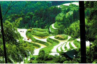 三部門(mén)聯(lián)合發(fā)文推進(jìn)山水林田湖生態(tài)保護(hù)修復(fù)工程