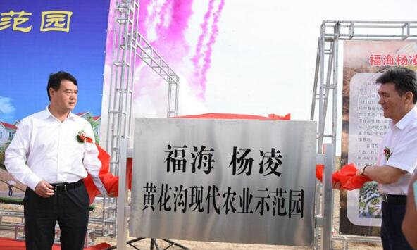 新疆福?？h攜手楊凌高新區打造中國高緯度農業示范基地