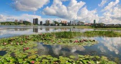 安順經(jīng)開區(qū)：政策推動(dòng) 產(chǎn)業(yè)帶動(dòng) 鄉(xiāng)村旅游旺起來