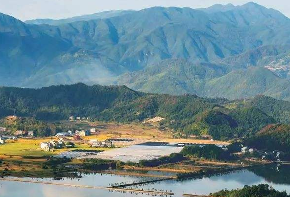 厲以寧：中國深化改革要依靠農業(yè)和農民