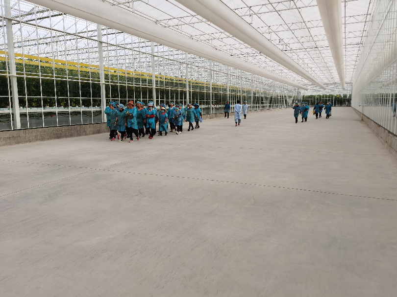 依托非耕地高效設施農業，民樂縣著力打造特色戈壁農業國家現代農業產業園