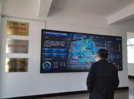 依托糧食和蔬菜兩大優(yōu)質產業(yè)，新民市向國家農業(yè)現(xiàn)代化示范區(qū)邁進