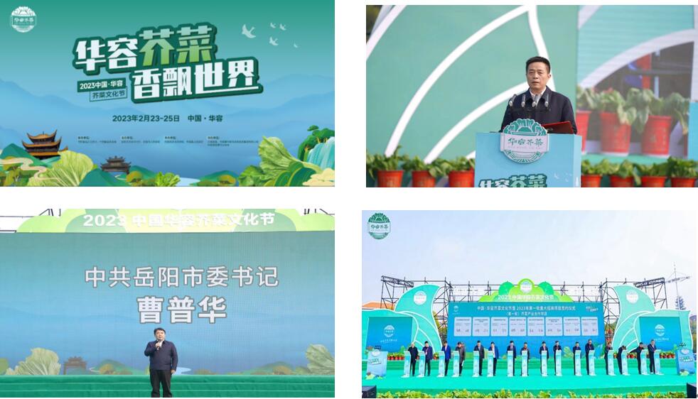 華容芥菜香飄四海，創建國家現代農業產業園恰逢其時