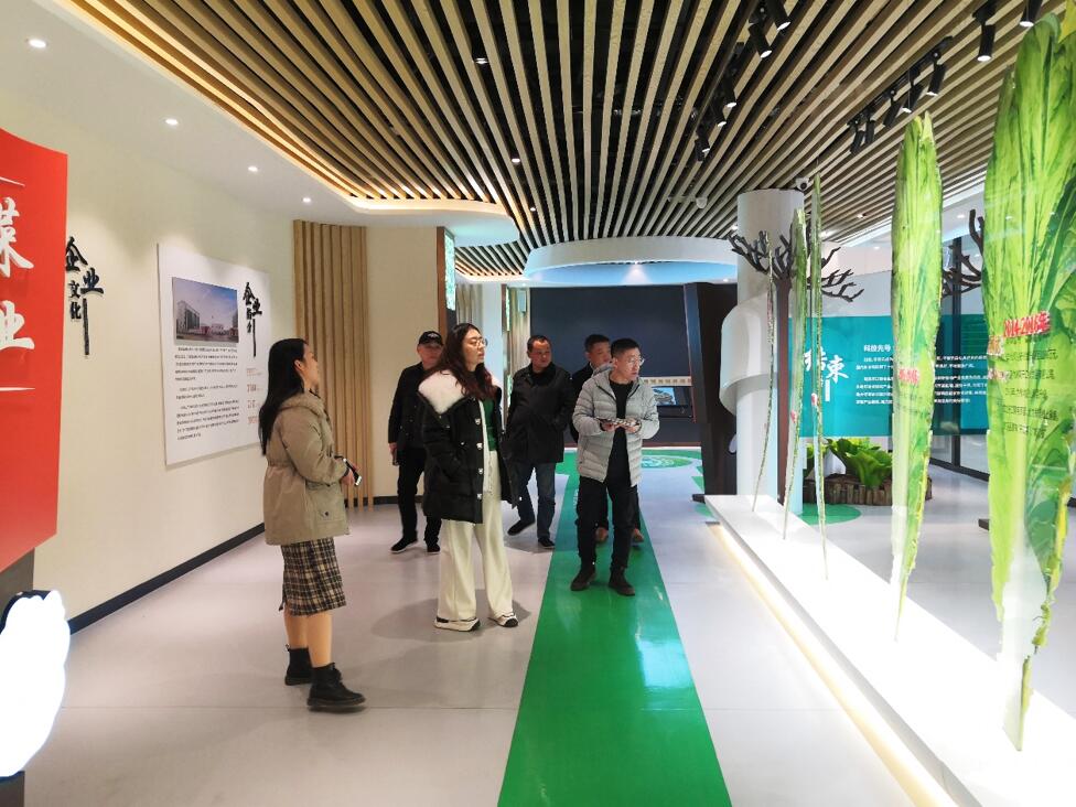 華容芥菜香飄四海，創建國家現代農業產業園恰逢其時