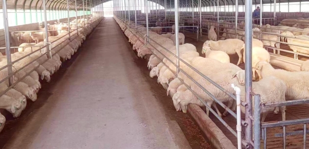 我院助力山西省曲沃縣創建國家現代農業產業園